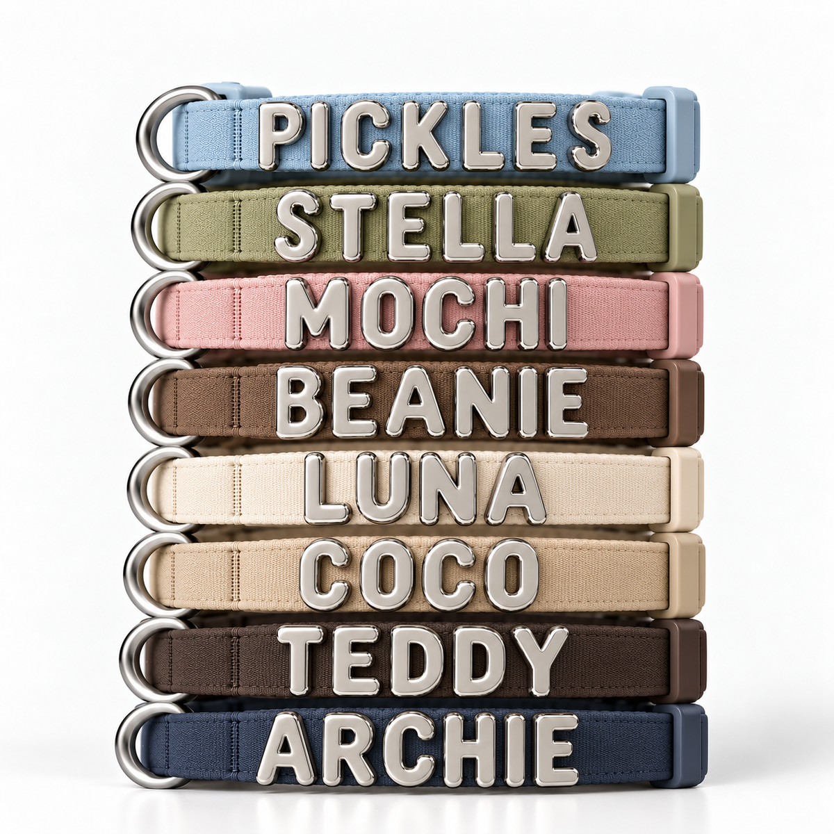 Beanie Days Dog Collar with Charms