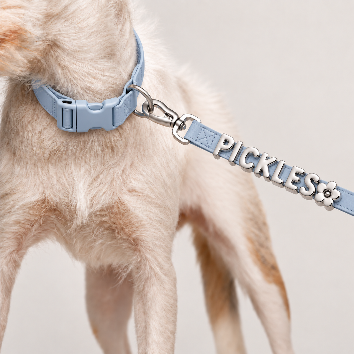 Happy Days Dog Leash + Collar Set