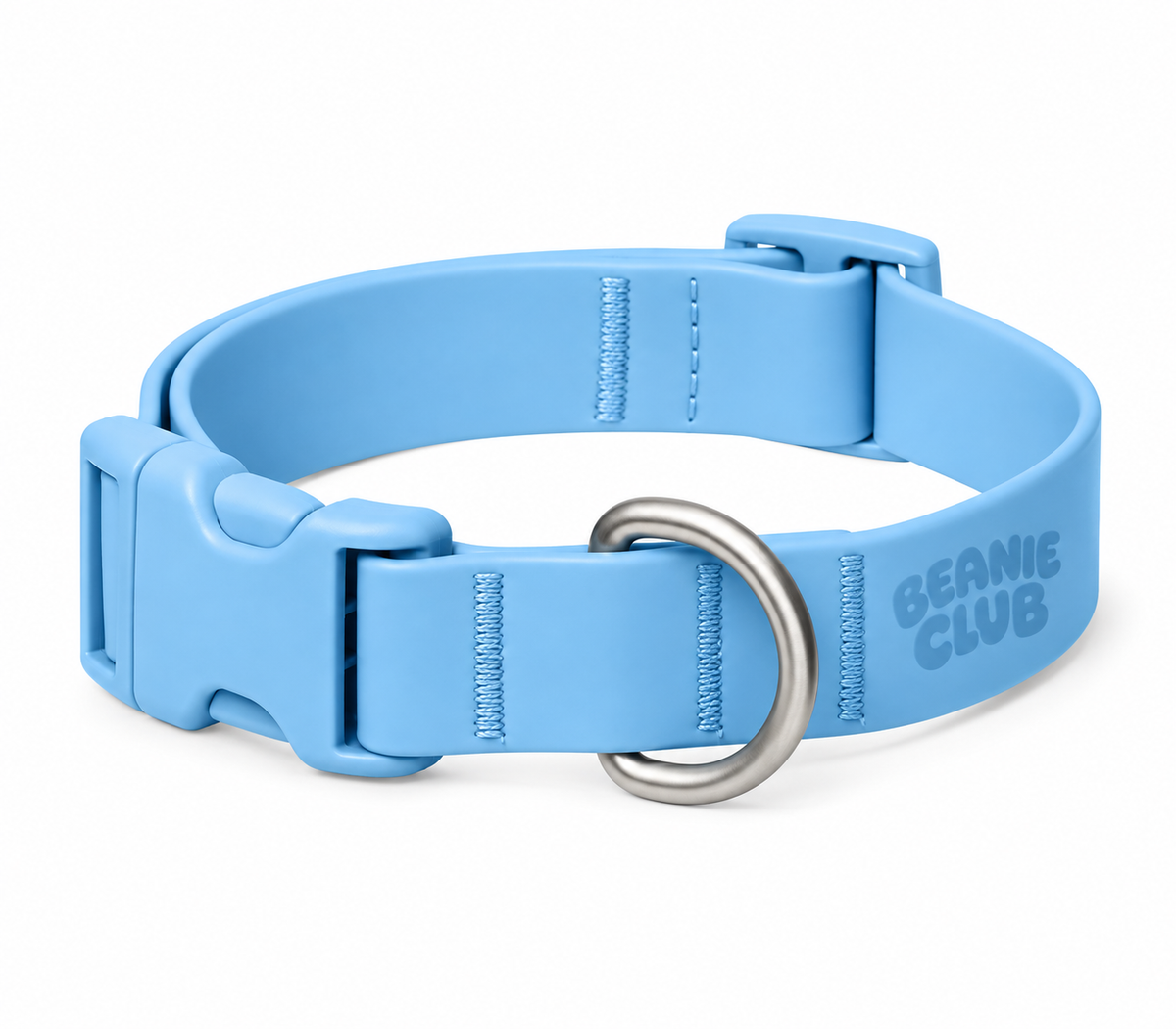 Beanie Days Dog Collar with Charms