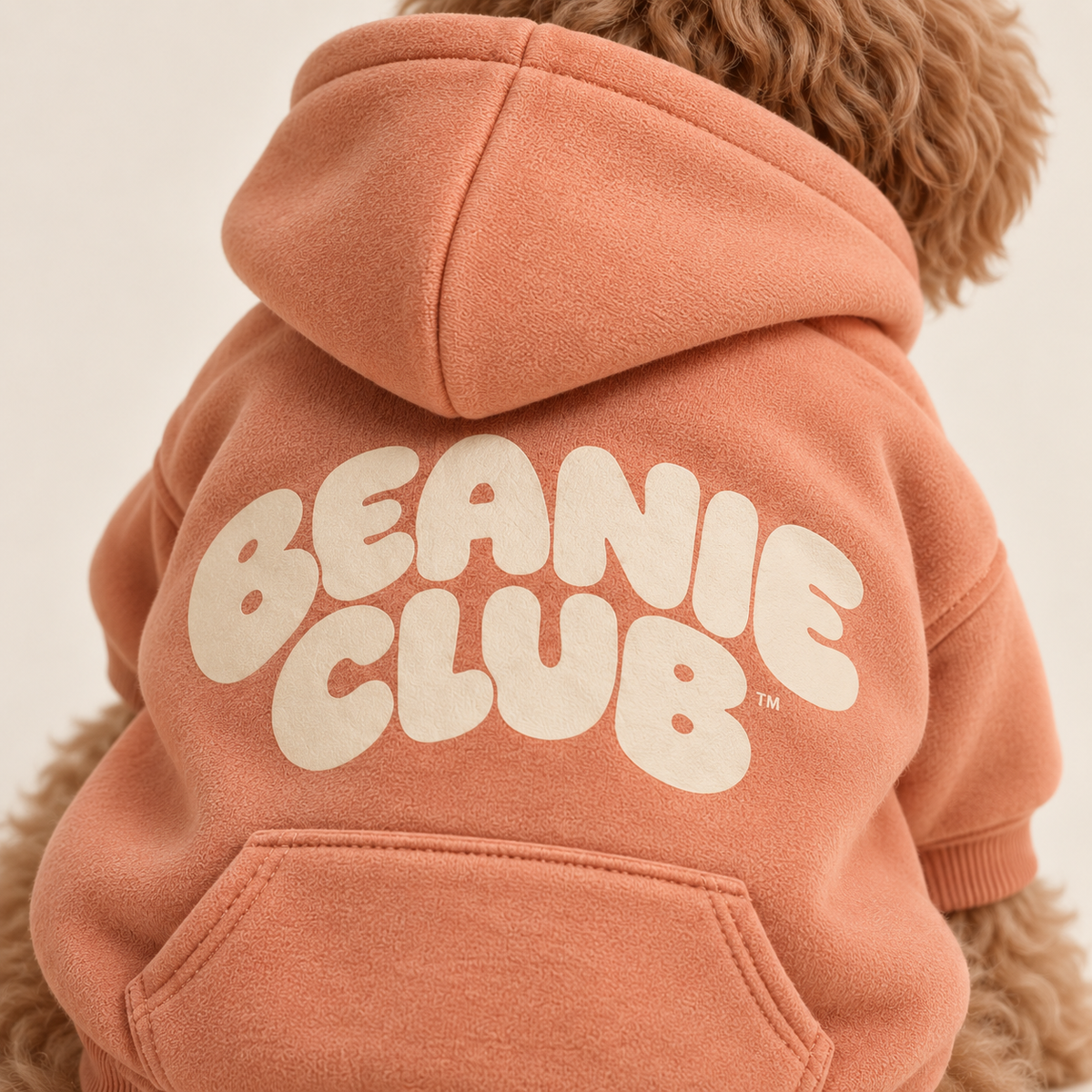 Beanie Club Hoodie