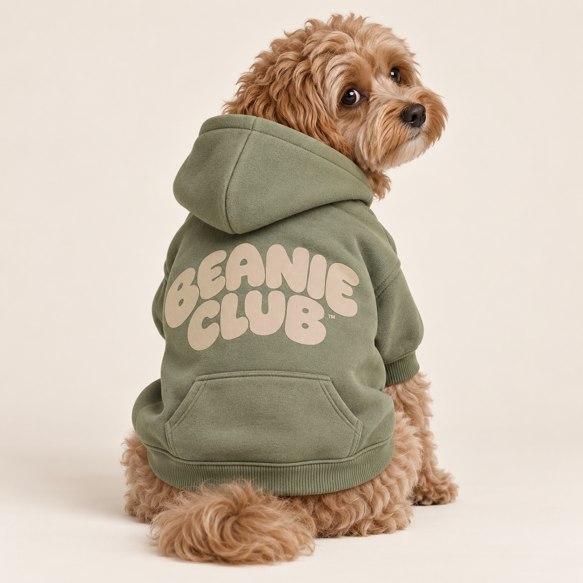 Beanie Club Hoodie