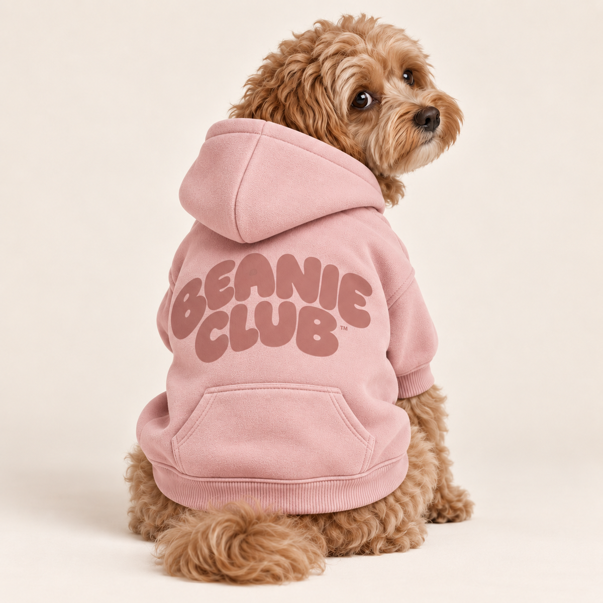 Beanie Club Hoodie